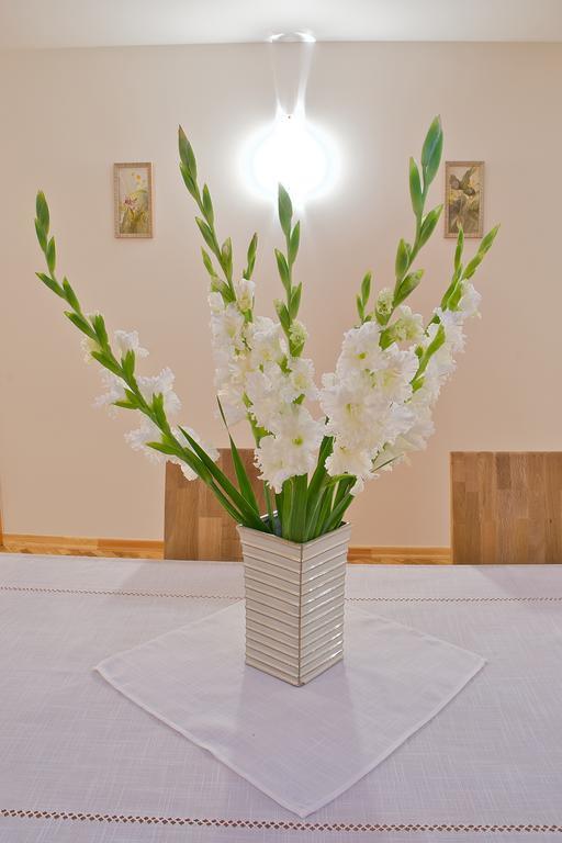 Viesu Maja Janis Hotel Madona Kültér fotó